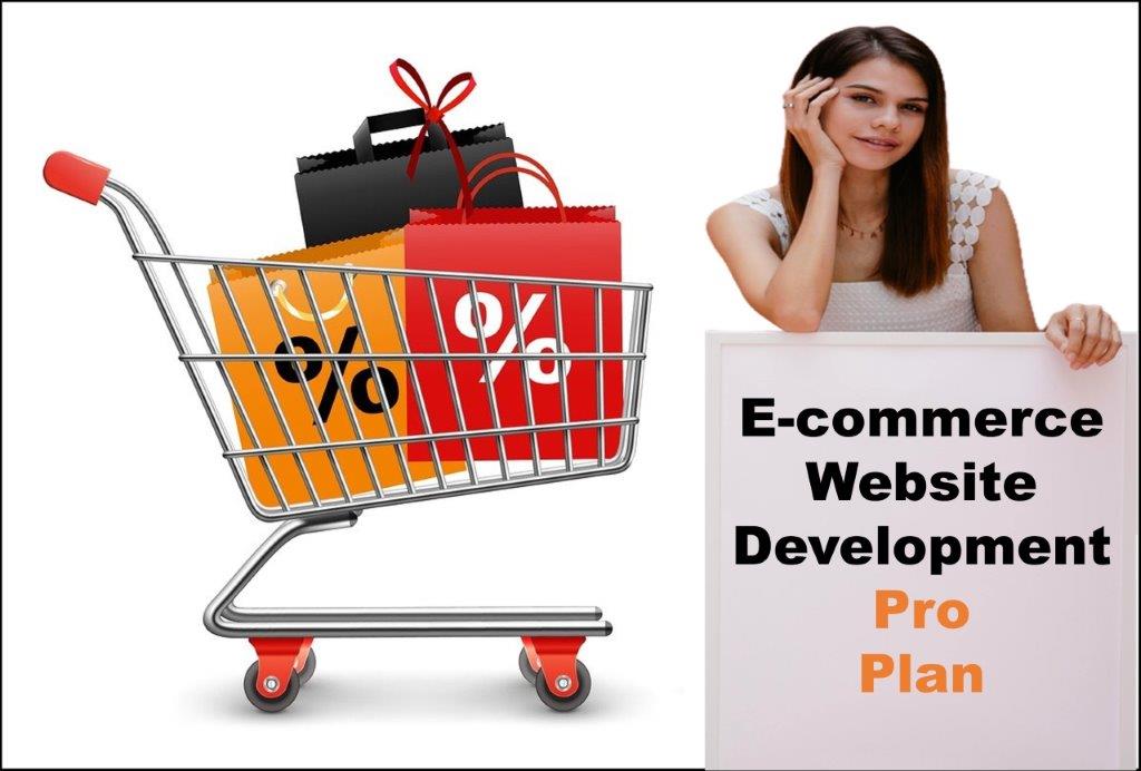 professional ecommerce website development agency in Salem Oregon