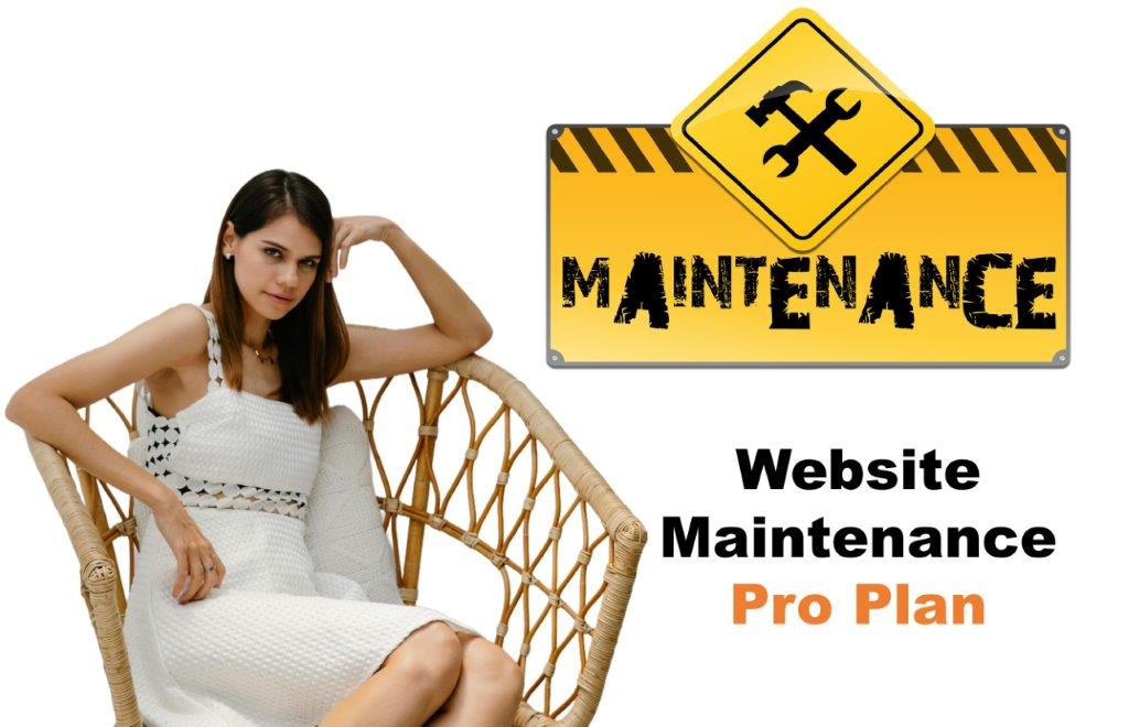 website maintenance agency in Salem Oregon