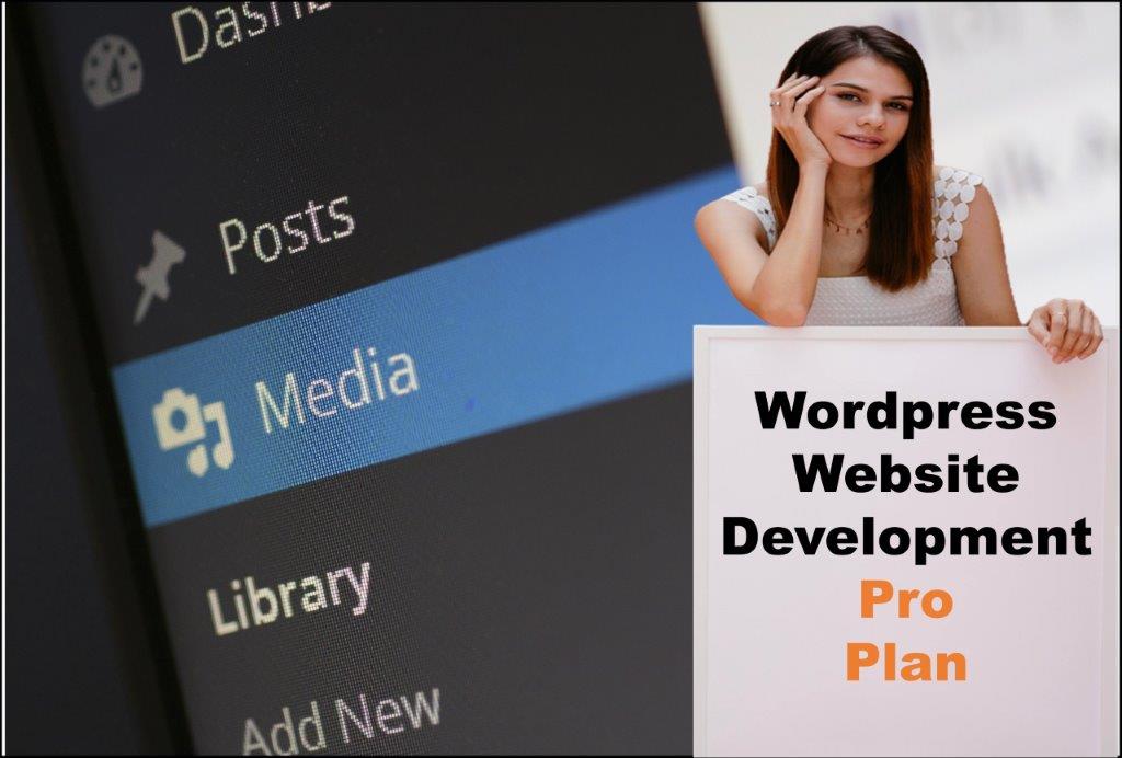 wordpress website designing in Salem Oregon